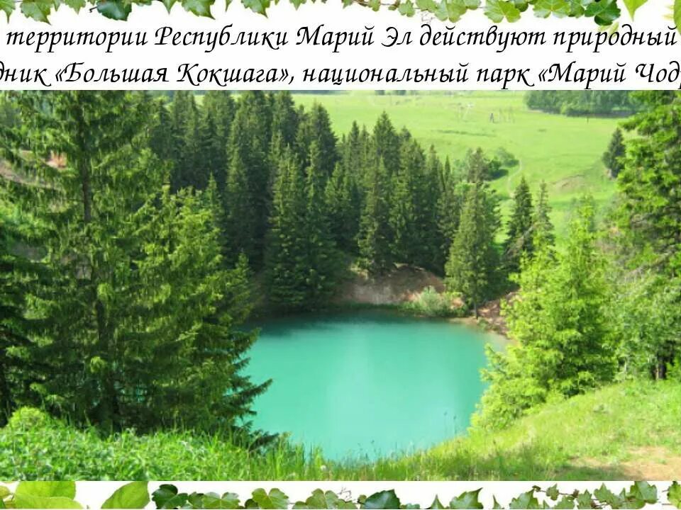 Природные ресурсы республики марий эл кратко. Леса республики марий эл. Чёрное озеро марий эл. Йошкар-ола парк марий чодра. Природные богатства республики марий эл.