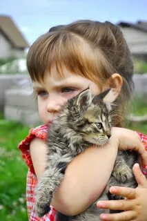 Девочки девчонки мы для них котенку