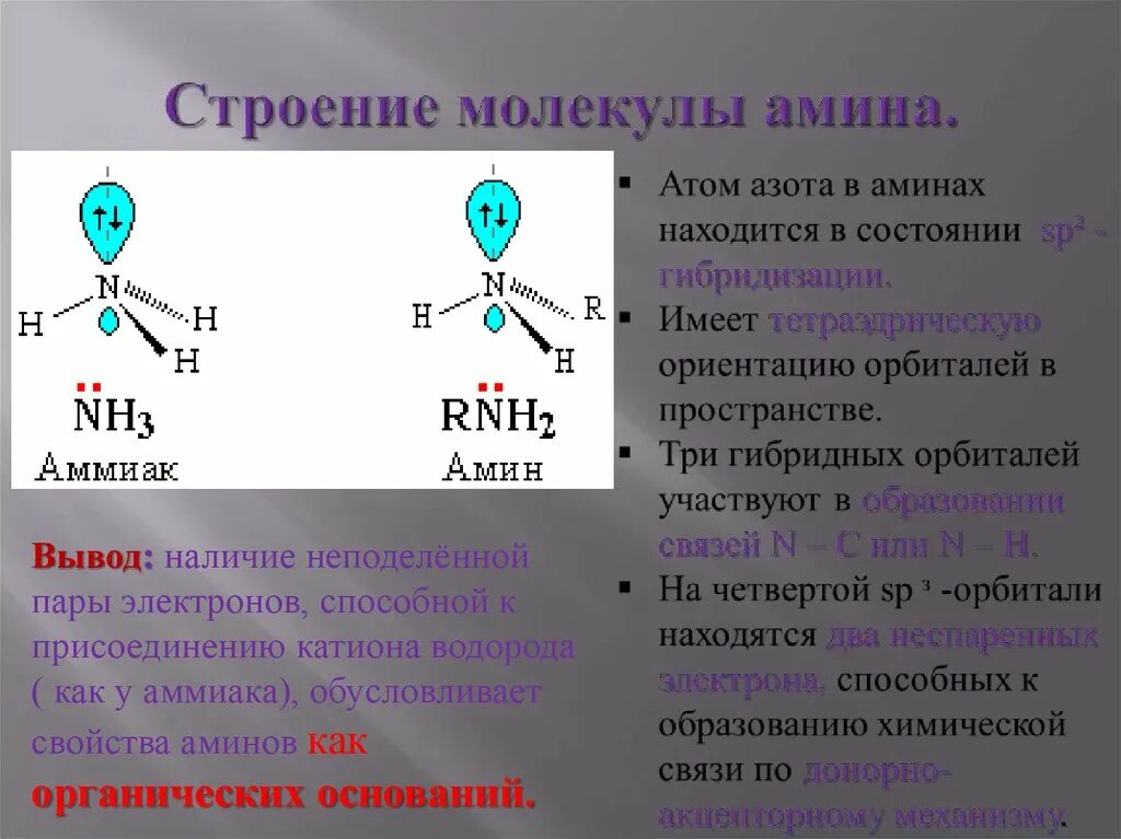 Атом азота в молекулах аминов
