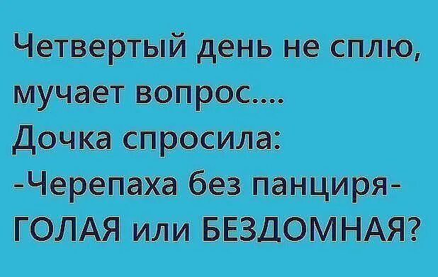 Черепаха без панциря бездомная. Четвертый день не сплю мучает вопрос черепаха без панциря. Черепаха без панциря голодная.