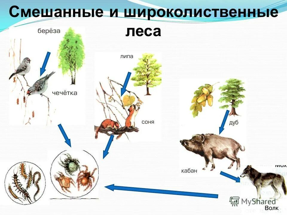 Вторичная цепь питания