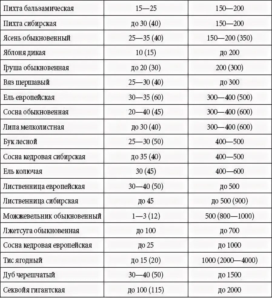 Продолжительность деревьев таблица 1. Срок жизни деревьев таблица. продолжительность жизни различных деревьев. сведения о продолжительности жизни деревьев таблица. продолжительность жизни деревьев таблица.