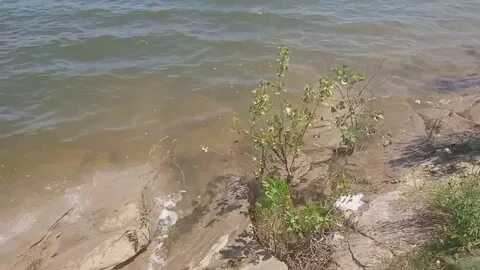 Погода в балка грузская егорлыкская