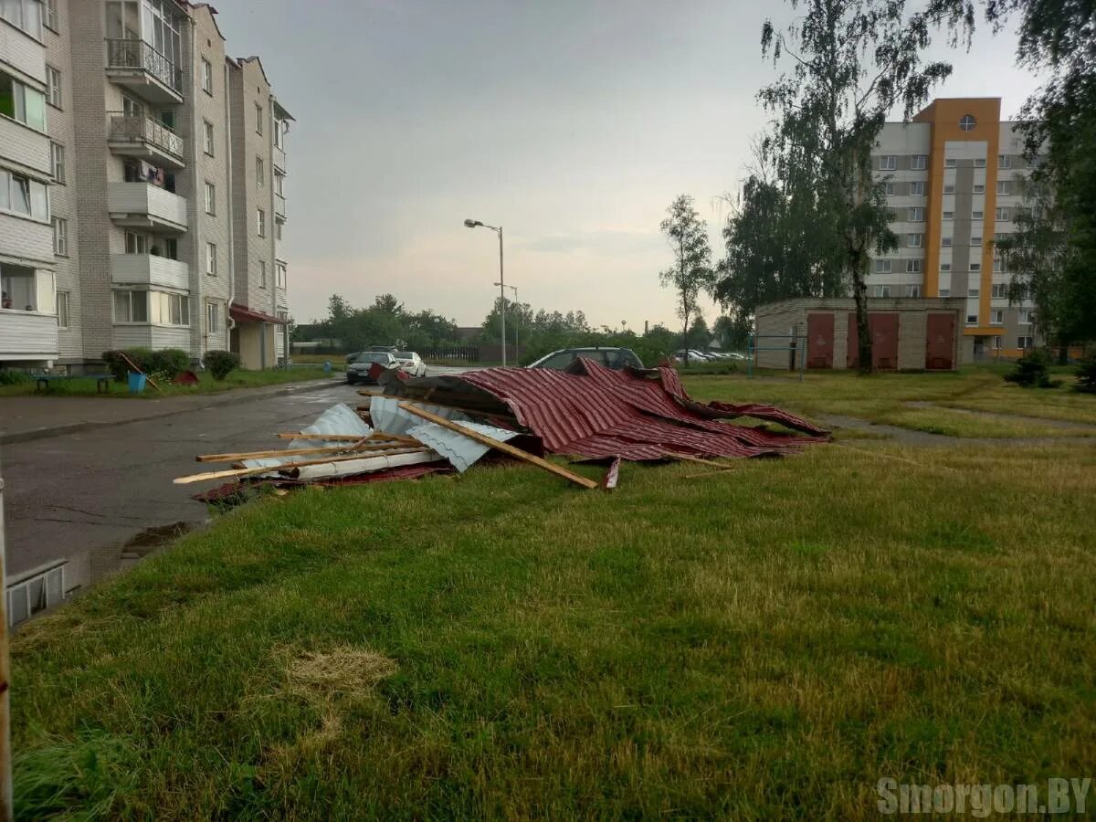 В Барнауле 31 октября начался снегопад. Фото с белых улиц - Толк 31.10.2025