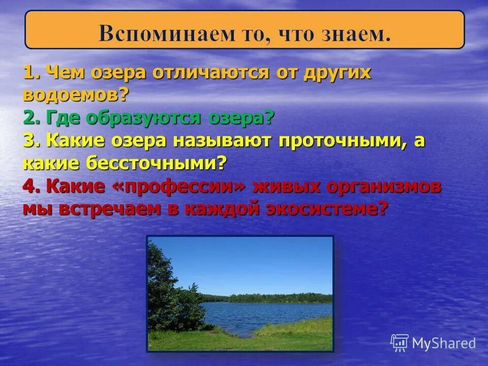 Назовите три озера. Самые большие озера мир. Крупнейшие озера евразии список. Самые крупные озера россии. Какие озера называют проточными.