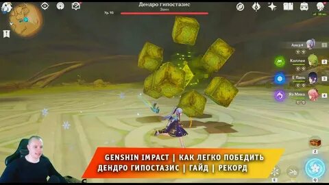 Геншин импакт дендро