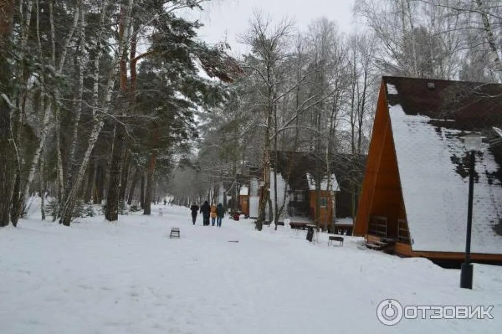 Отдых солнечный на оке. Турбаза ока рязанская область зимой. турбаза ока горки. солнечная на оке база отдыха зимой. база отдыха ока зимой.