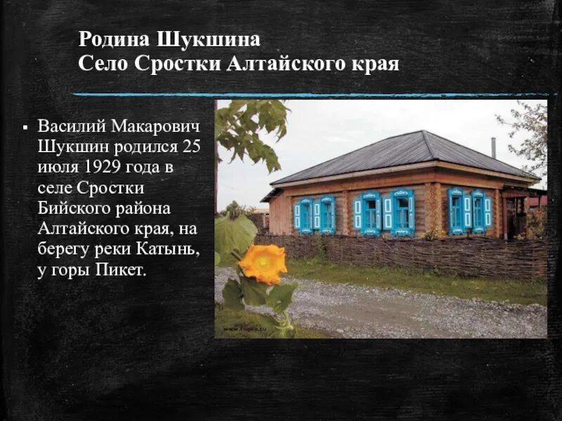 Село Сростки Родина Шукшина. Родина Василия Шукшина село Сростки. Родина Шукшина село Сростки Алтайского края. Село Сростки Алтайский край Шукшин.