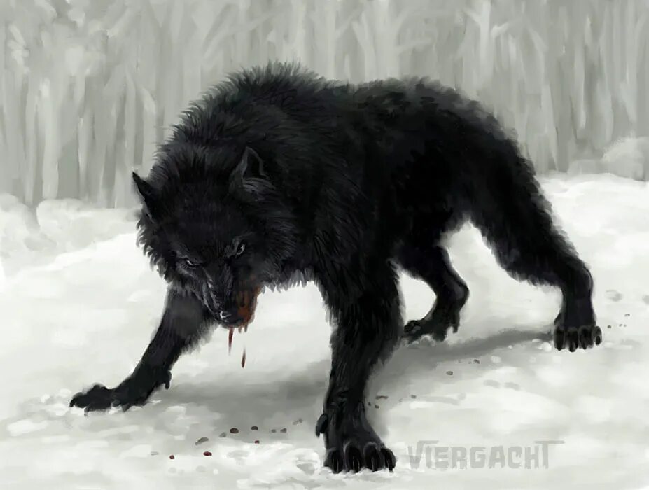 Жеводанский зверь чёрный волк. Вервольф волк оборотень злой. Черный Вольф Вольф человек волк. Черный волк Альфа самец.