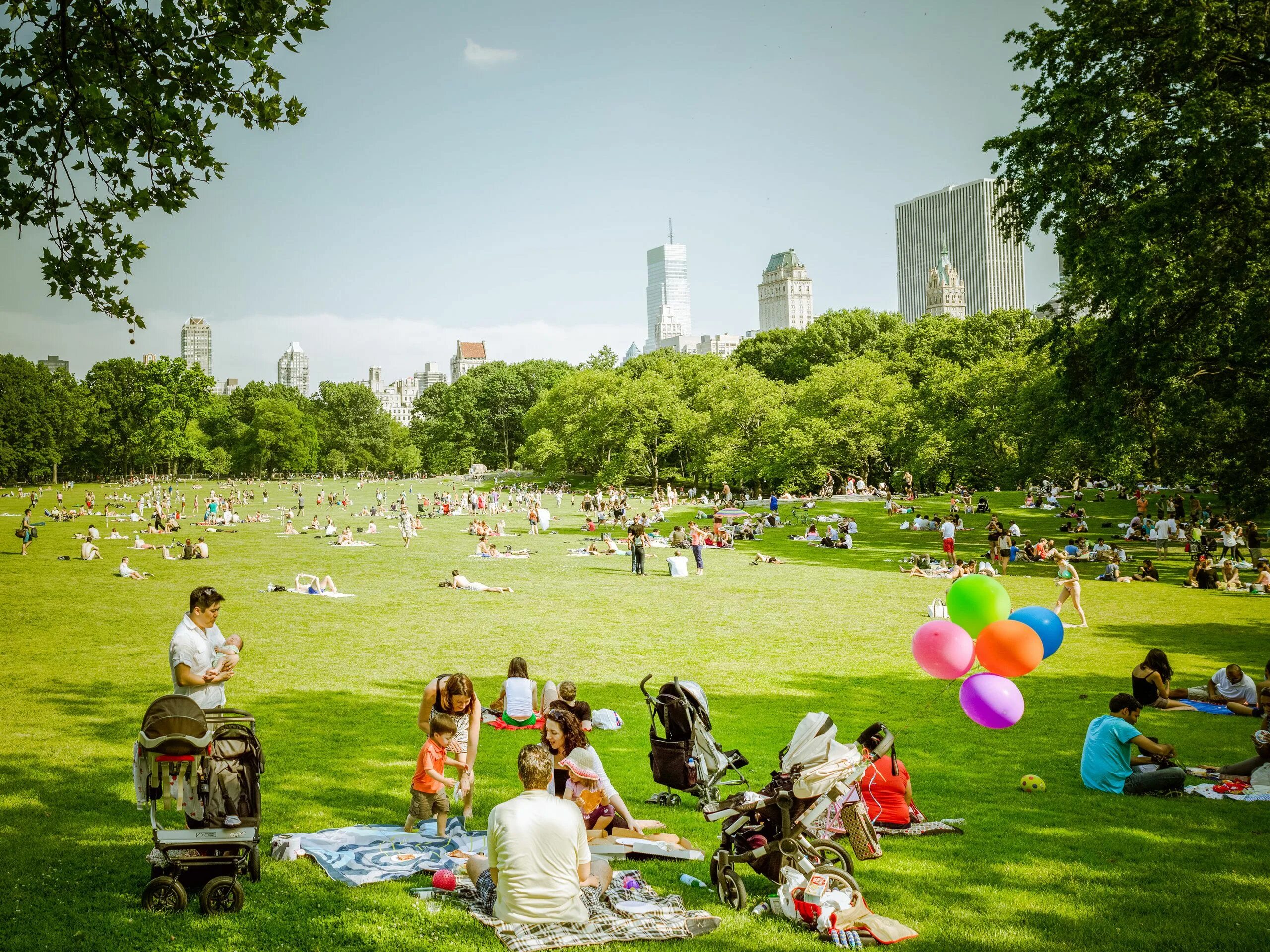 Lot of people in the park. Центральный парк Нью-Йорк. Центральный парк Нью-Йорк пикник. Лужайка Центральный парк в Нью-Йорке. Централ парк Нью-Йорка газон.