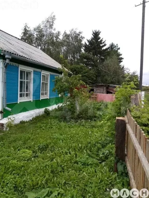 Село старостинцы. Погода в миролюбовке. Озеро в новоалександровке. Погода миролюбовка омская область. Новоалександровка омская область.