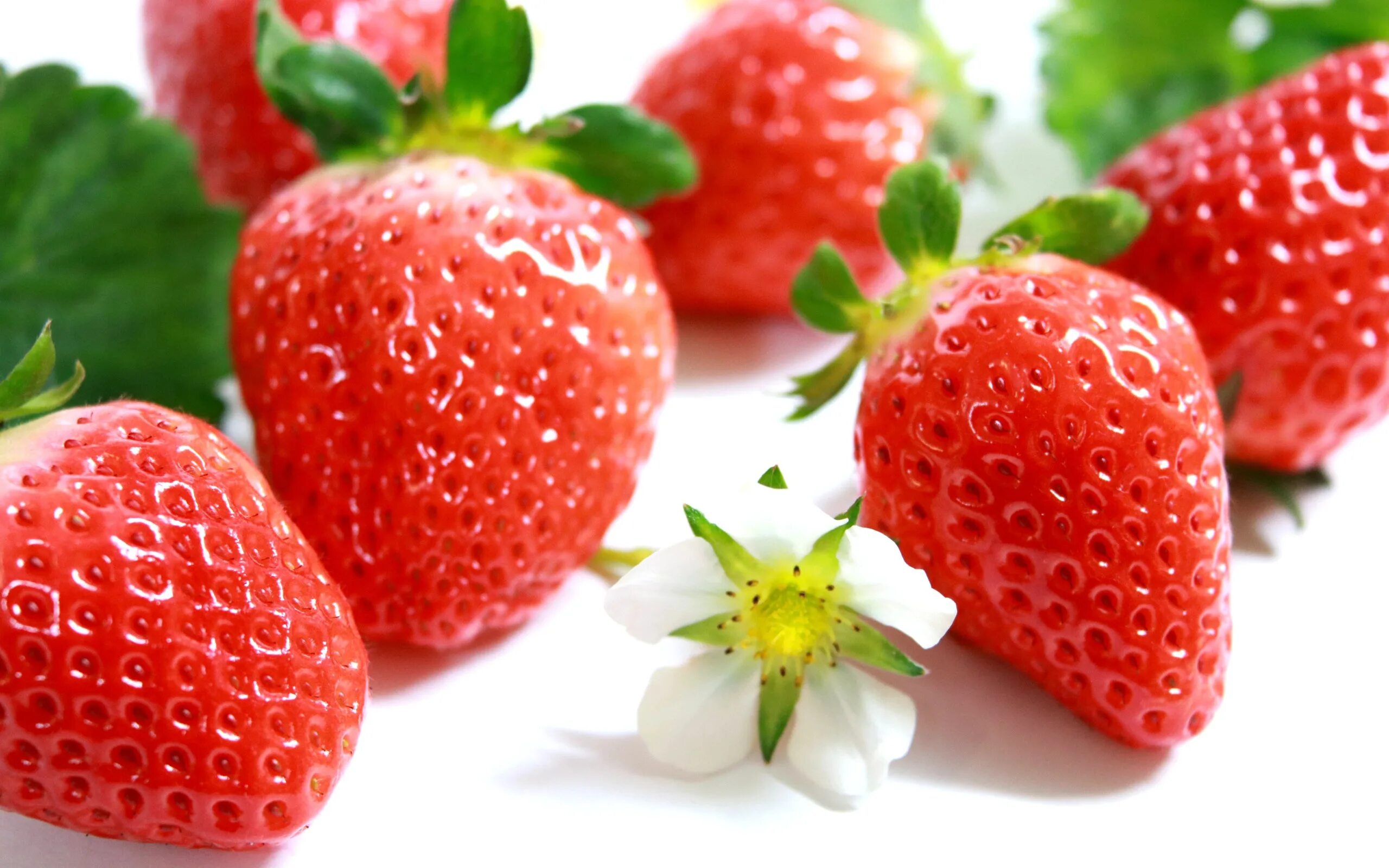 Strawberry flowers