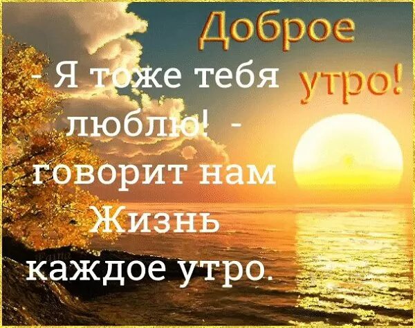 #картинки@vitaminofjoy 2023 Витамин Радости VK