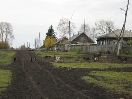 Целую деревню