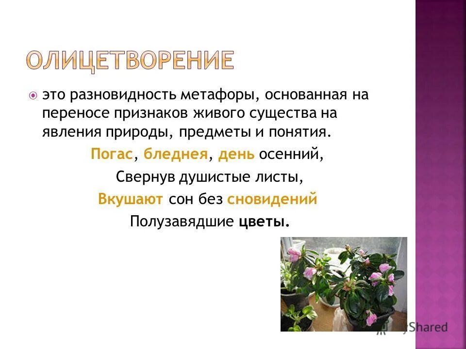 Бунин бледнеет ночь туманов пелена. Стих бледнеет ночь метафоры. Бледнеет ночь бунин. Стихотворение вечер фет. Бледнеет ночь туманов пелена в лощинах и лугах становится белее.