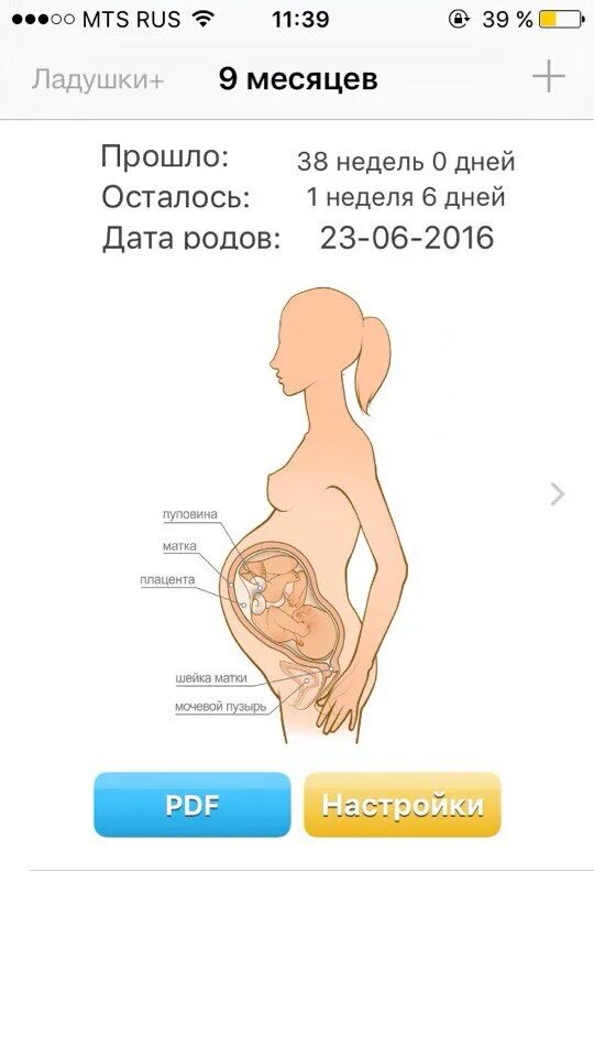18 недель беременности это сколько месяцев. Предполагаемая Дата родов. 9 Месяцев это сколько недель. Колько недель в 9 месяца.