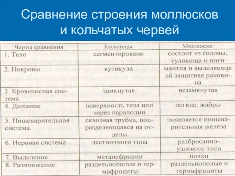 Назовите черты отличия в строении внутренних органов. Особенности строения систем органов кольчатых червей. Внутреннее строение кольчатых червей таблица дыхательная система. Типы кольчатых червей таблица. Таблица круглые и кольчатые черви 7 класс.