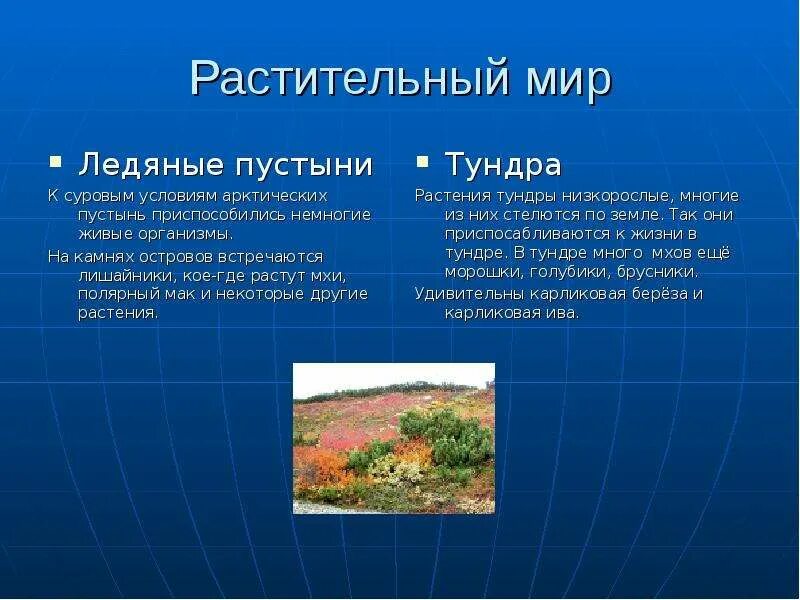 Зона арктических пустынь отличается разнообразием растительности