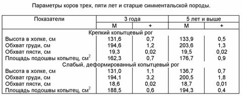 Вес взрослой ели