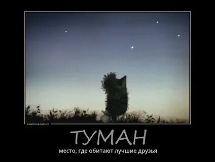 Туман смешные картинки