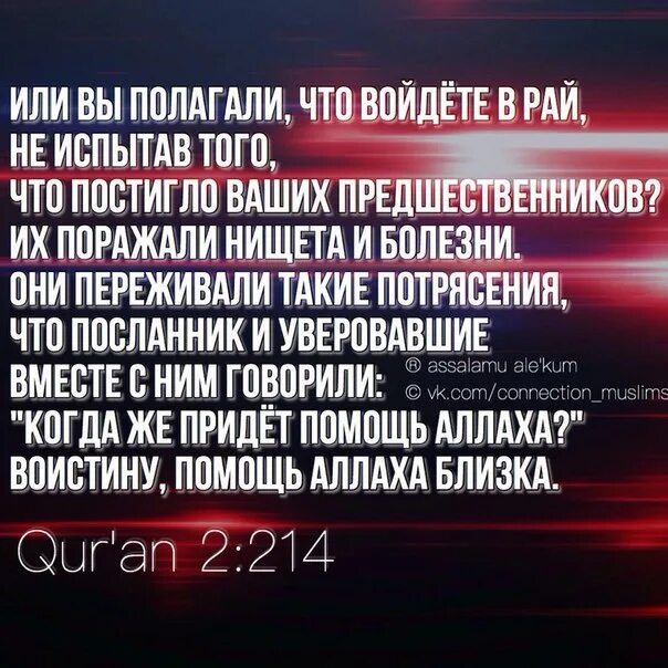 Кто первый вошел в рай. Сплетник не войдет в рай хадис. Сплетник никогда не войдет в рай. СПЛЕТНИКИ не войдут в рай воистину. Сплетник не войдет в рай картинки.