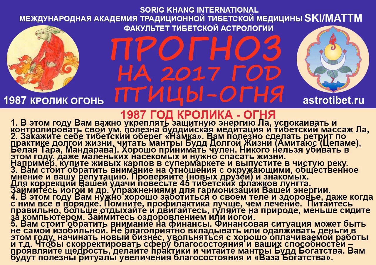 1987 гороскоп мужчина. 1987 Год гороскоп. Год кролика 1987. 1987 Год красного огненного кролика. 1987 Какой год по гороскопу.