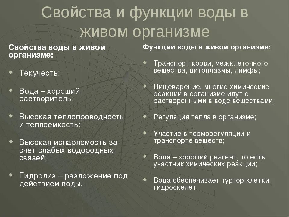 Какова функция воды. Функции воды в живых организмах. Свойства воды в живых организмах. Свойства и биологические функции воды. Функции воды в организме таблица.