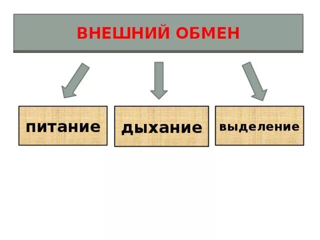 Питание дыхание. Питание и выделение. Питание дыхание выделение, тест 6. Питание дыхание и выделение является основными частями. Тест питание дыхание