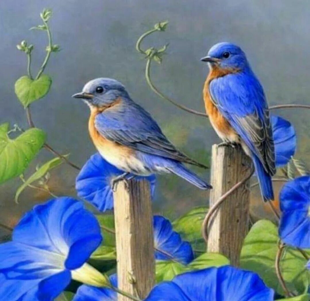 Две синие птицы. Птицы живопись. Пейзаж с птичками. Пейзаж с птицами.