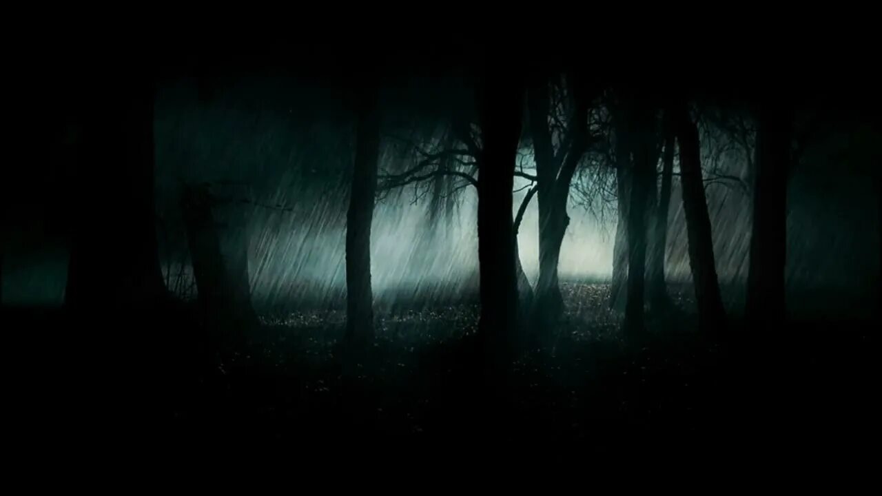Light off dark. Ночной лес. Мрачный лес. Страшный лес. Страшный ночной лес.