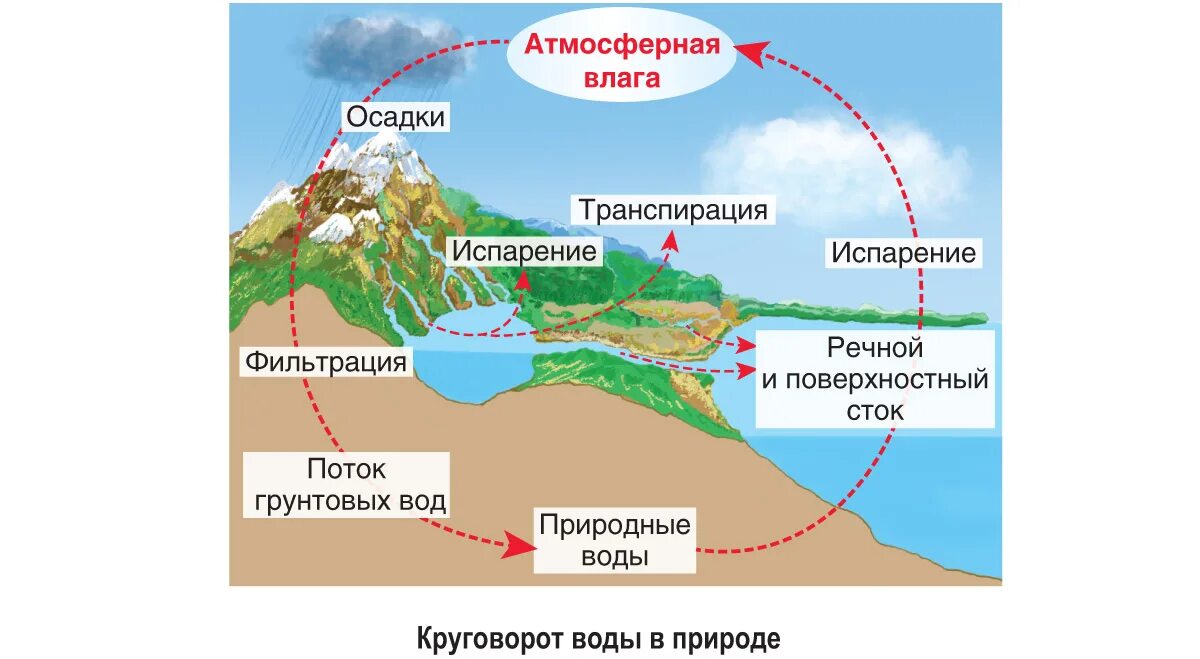 Как называется круговорот в природе. Круговорот воды в природе Биосфера. Этапы круговорота кислорода в биосфере. Круговорот воды в природе схема биология. Круговорот воды в природе схема 11 класс биология.