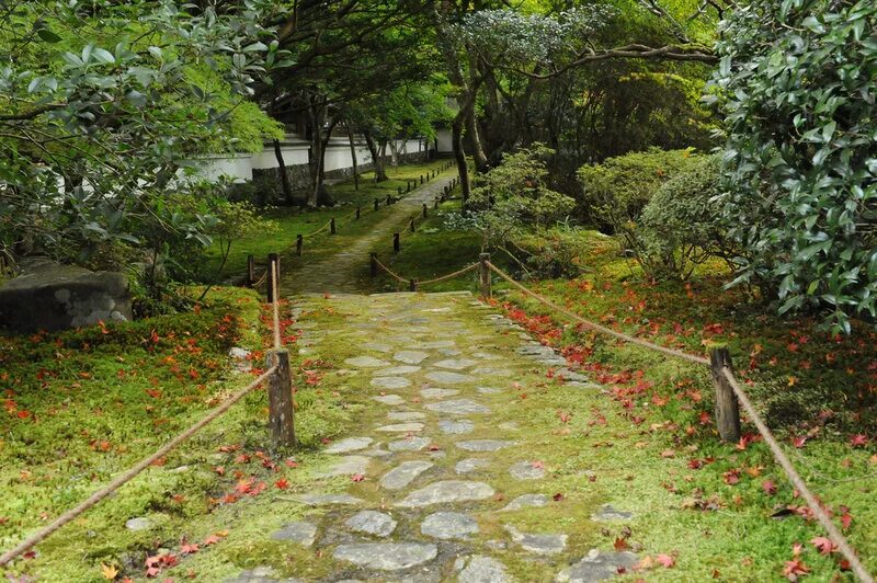 Гибнущий сад. Сад мхов в Японии. Моносад сад мхов. Как оформить сад мхов. Фото древних статуй в мху Япония лето лето лето Отаги.