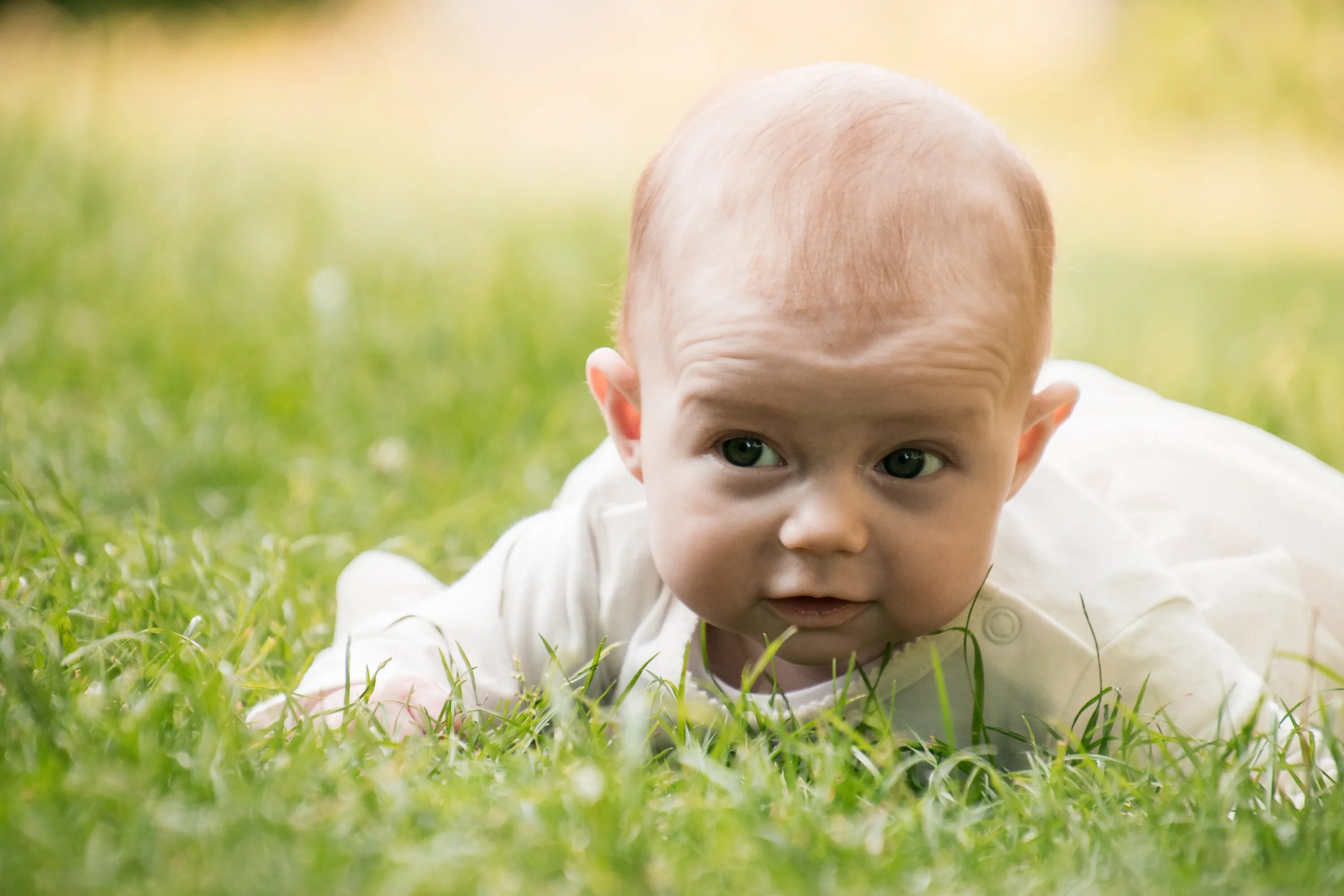 Children natural. Дети и природа. Малыш на природе. Новорожденный на природе. Дети на газоне.