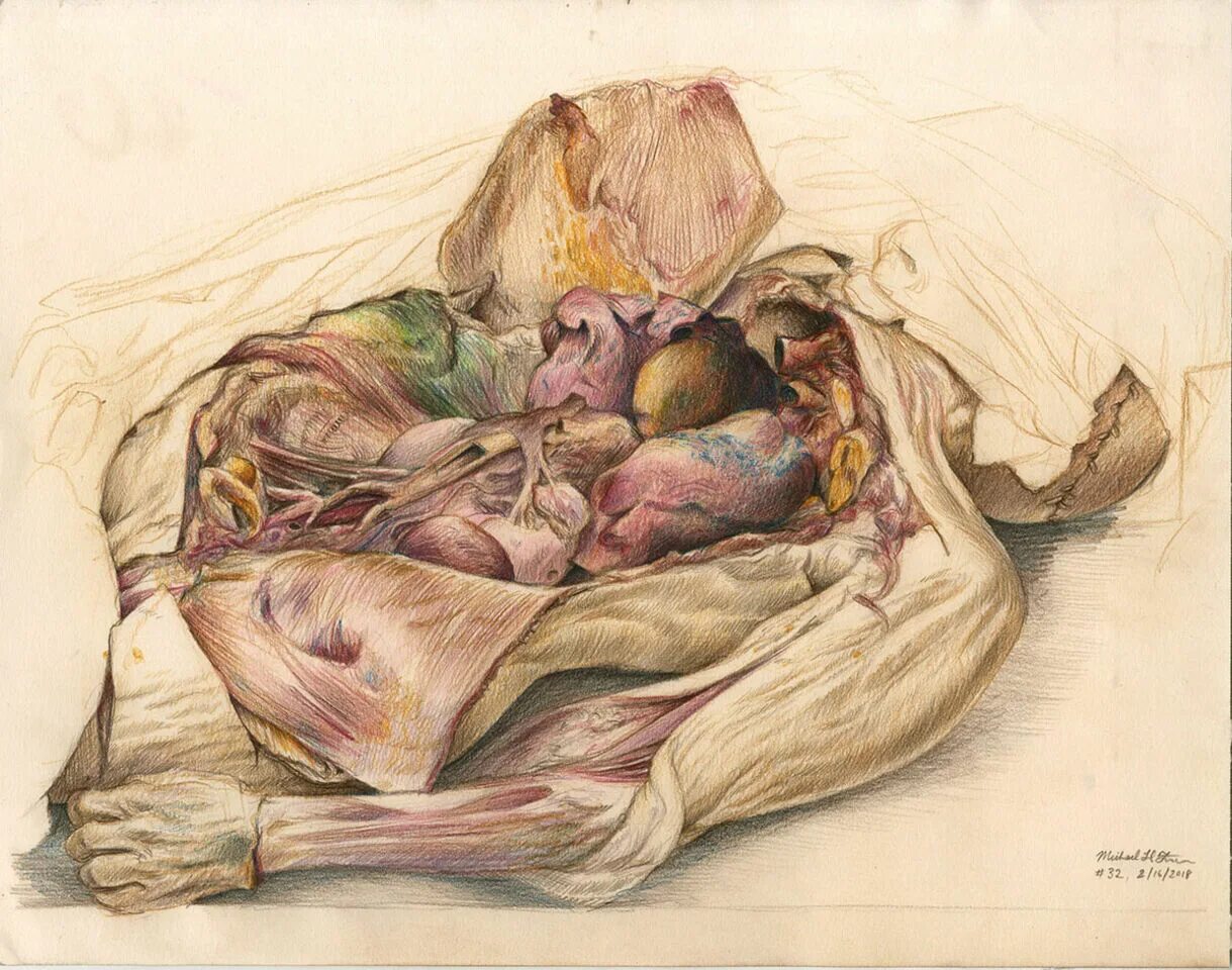 Стругацкие кадавр неудовлетворенный. Кадавр неудовлетворенный. Кадавр неудовлетворенный. Амвросий амбруазович выбегалло. Иллюстрации сергея лемехова стругацкие.