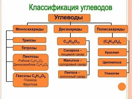 Углеводы урок 10 класс биология презентация