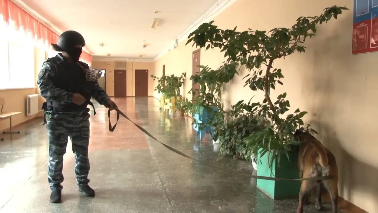 Проверка террорист