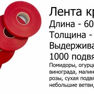 Толщина ленты
