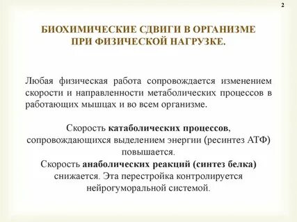 Биохимические процессы происходящие в организме
