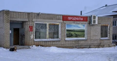 Деревня березники