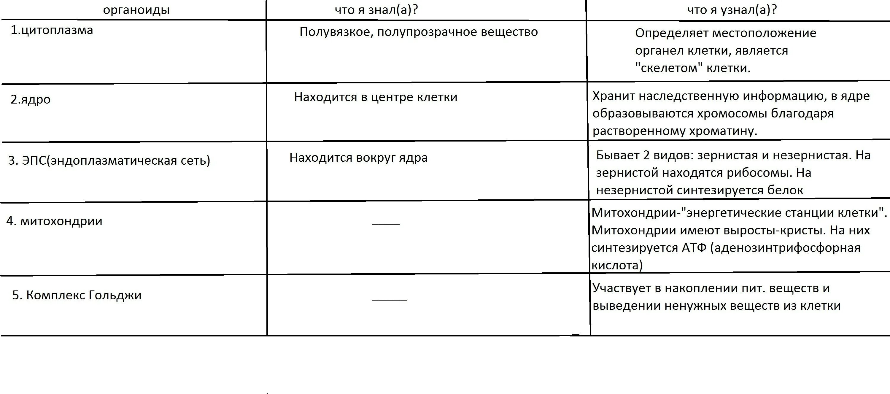 Заполните таблицу органоиды строение функции. Органоиды клетки строение и функции таблица. функции органоидов клетки таблица 6 класс. таблица по биологии органоиды животной клетки.