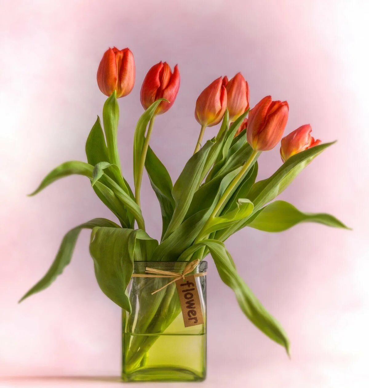 Сколько воды наливать тюльпанам в вазе. Тюльпаны в вазе. Букет тюльпанов в вазе. Красные тюльпаны в вазе. Красивые тюльпаны в вазе.