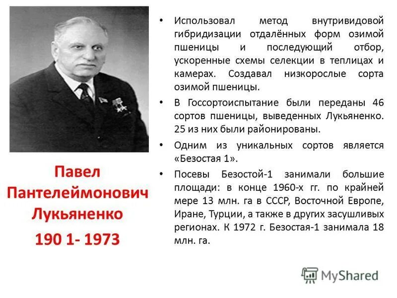 Лукьяненко селекционер достижения. Селекционер Кубани Лукьяненко. Труженики краснодарского края и их достижения