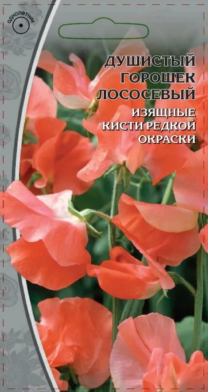 Горошек душистый предложение в роли подлежащего. Душистый горошек лососевый. душистый горошек семена. душистый горошек роял фэмили синий. душистый горошек божоле.