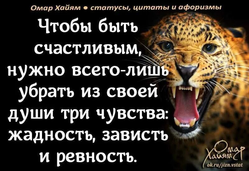 Зависть фразы. Цитаты про жадность. Афоризмы. Афоризмы про жадных. Высказывания мудрецов про жадность.