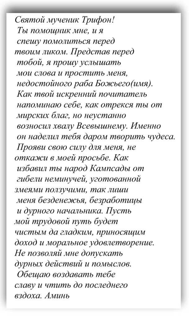 Молитва об успехе в работе. Молитва святому Трифону. Молитва св Трифону. Молитва святому мученику Трифону. Молитва св мученику Трифону.