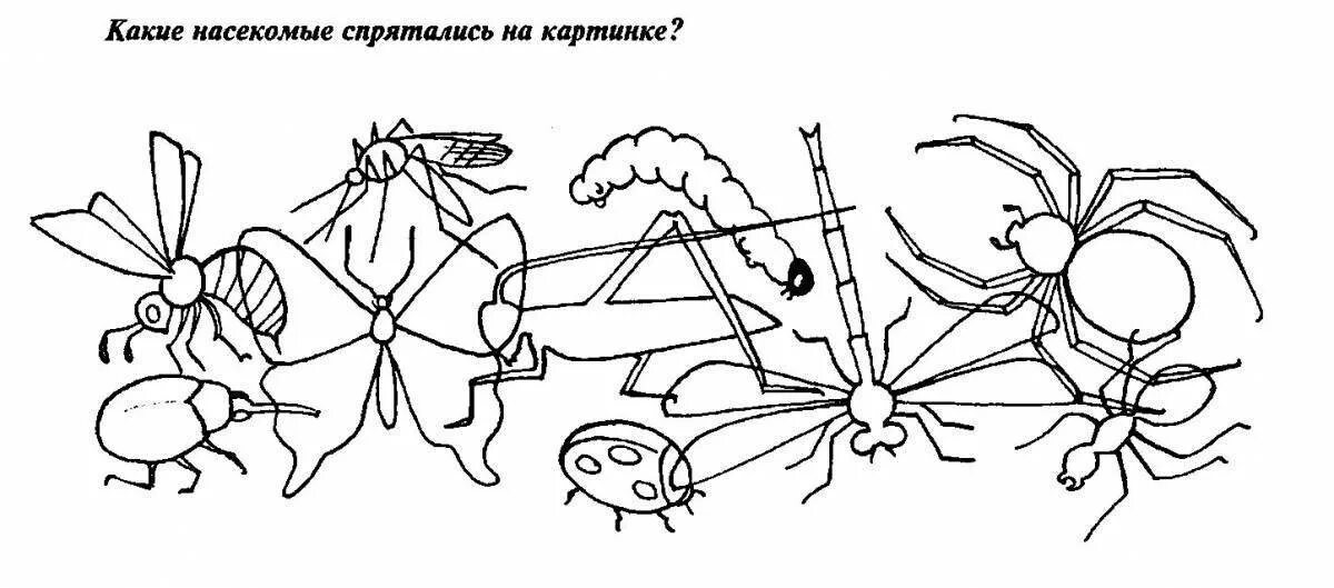 Раскраска окружающий мир 1 класс. Насекомые задания для детей. Задания для детей на тему насекомые. Насекомые задания для дошкольников. Насекомые. Раскраска.