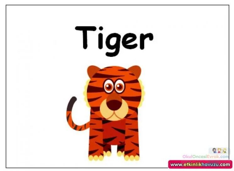 Тигр на английском языке. Карточка тигр. Карточка с тигром на английском языке. Слово тигр на английском.