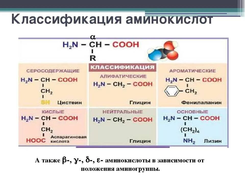 Аминокислотные радикалы