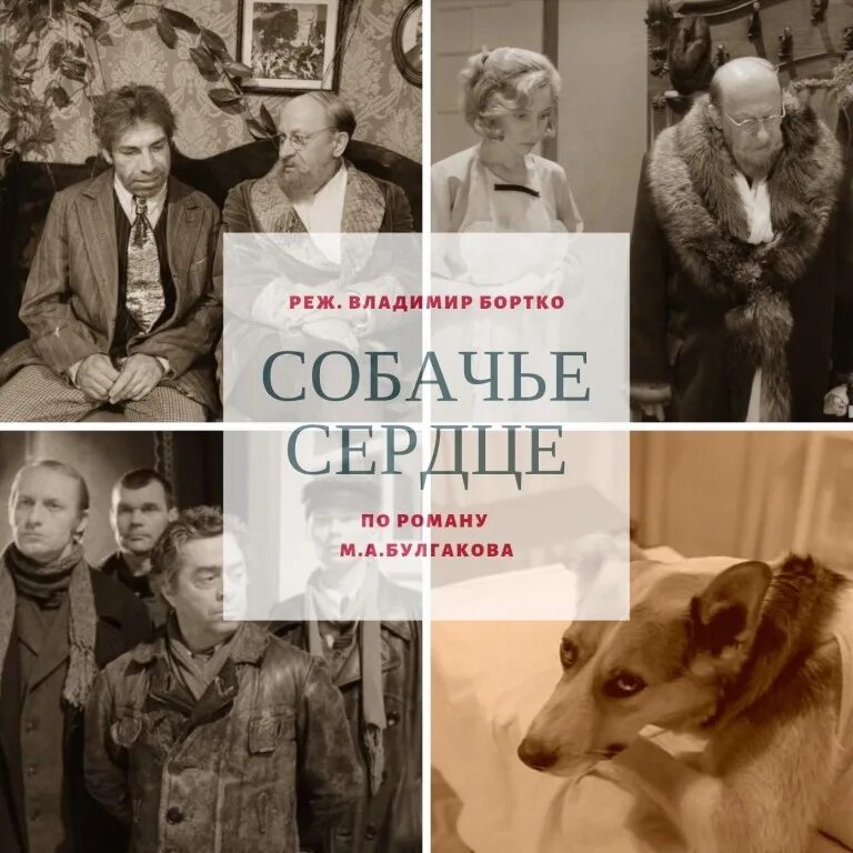 Собачье сердце книга автор. Собачье сердце Бортко. Собачье сердце (фантастика, реж. В. Бортко, 1988 г.).