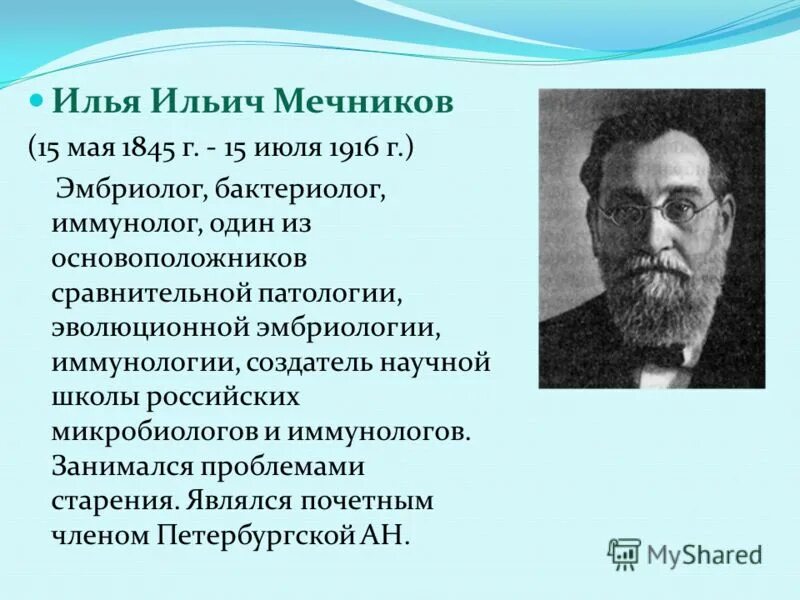 Ученые иммунологи список. Ильи Ильича Мечникова (1845—1916).